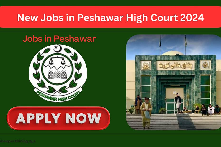 Jobs in Peshawar