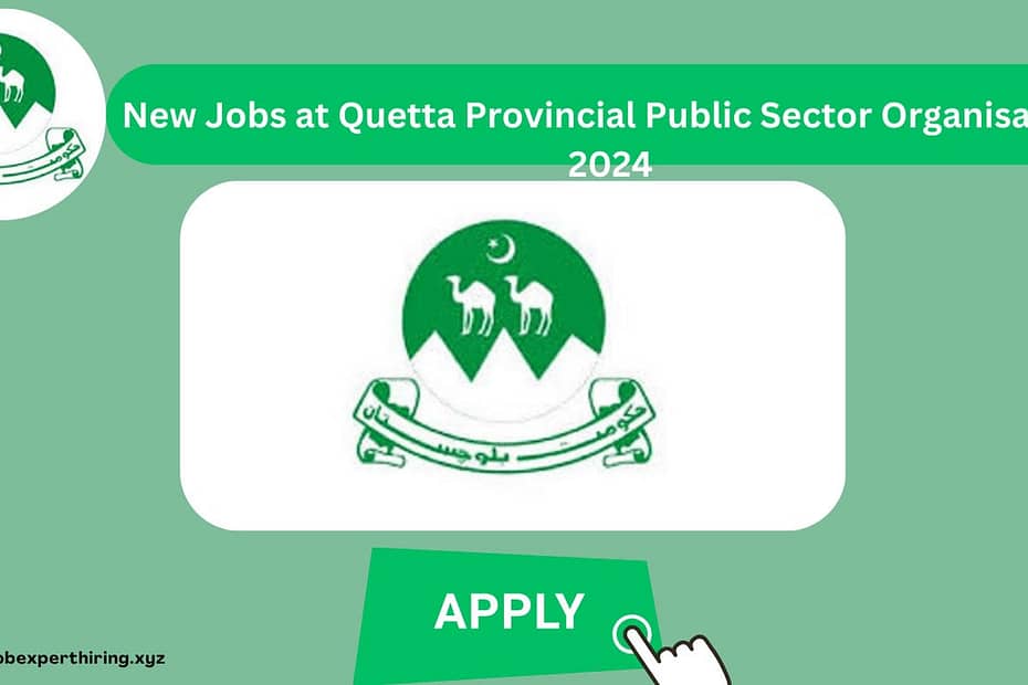 Jobs at Quetta Provincial Public Sector